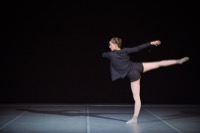 <br> Lara Perin ".Dear Alice "