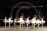  <br> "Etoile"