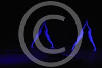 <br> Optical