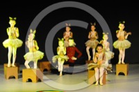  <br> Regine del circo