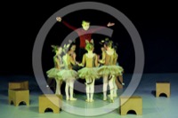  <br> Regine del circo