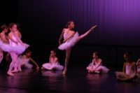  <br> primary7