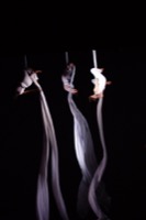 <br> Sogno