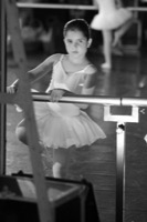  <br> Elena 2009 "Arlecchini"