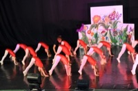  <br> Piramide