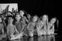  <br> attesa di Dorothy