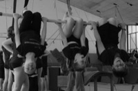  <br> trapezio trio.jpg