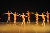  <br> Profumo e Passione