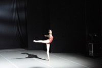  <br> Elisa