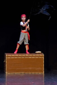  <br> Il Pirata