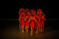  <br> img-201